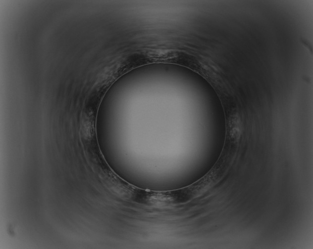 X0000101410515200807141134