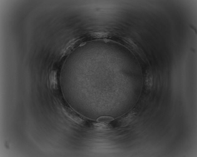 X0000101410516200807141134