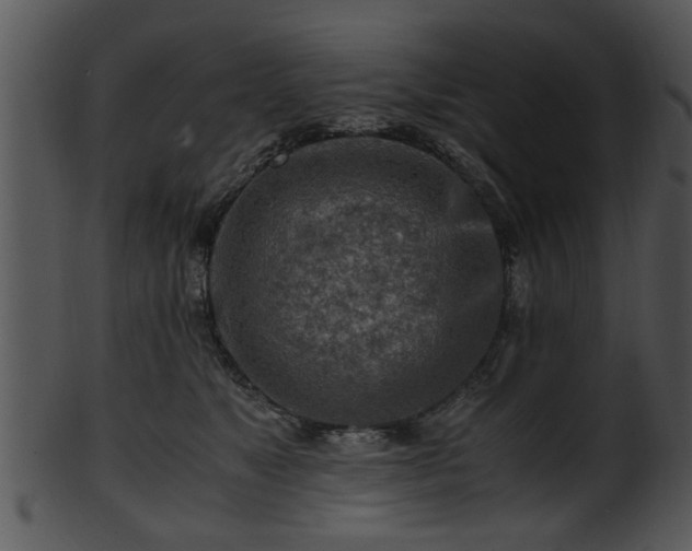 X0000101410517200807141134