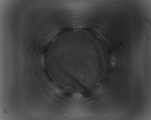 X0000101410519200807141134