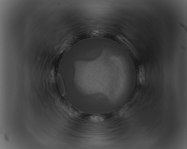X0000101410520200807141134