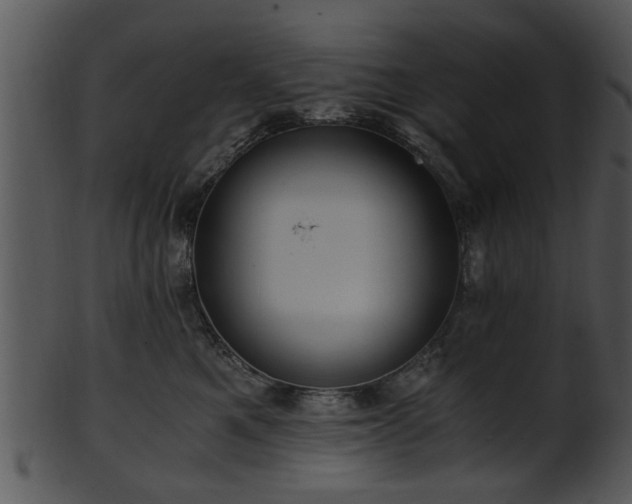 X0000101410521200807141134
