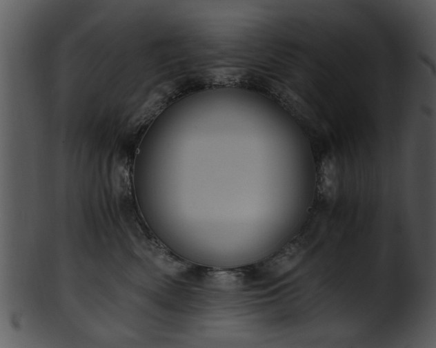 X0000101410522200807141134