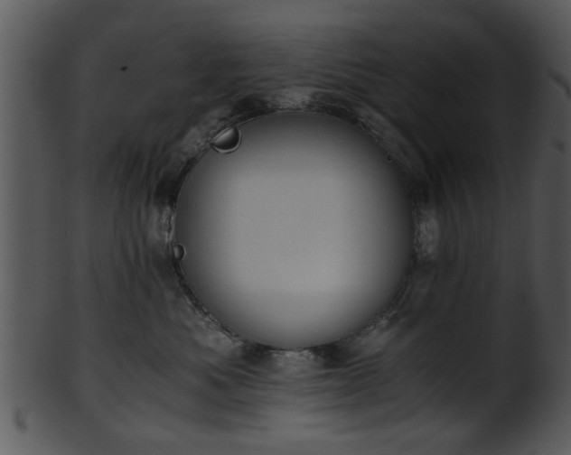 X0000101410525200807141134