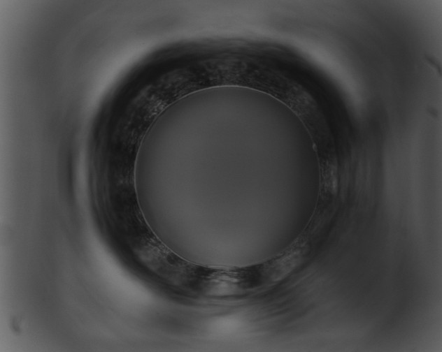 X0000101410526200807141134