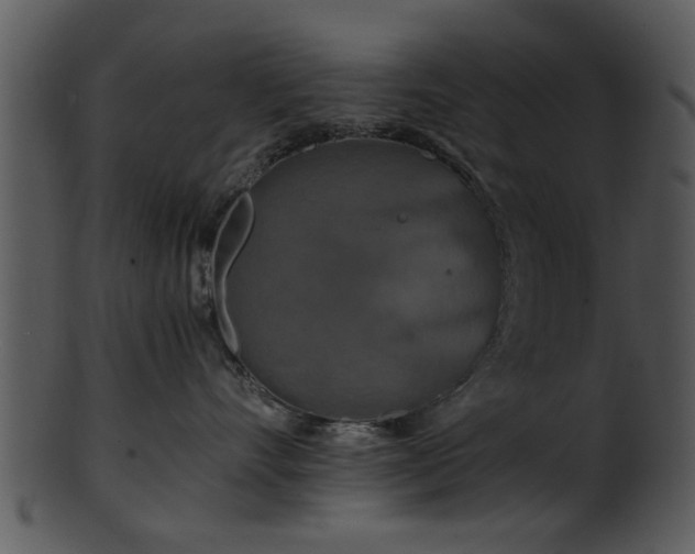 X0000101410528200807141134