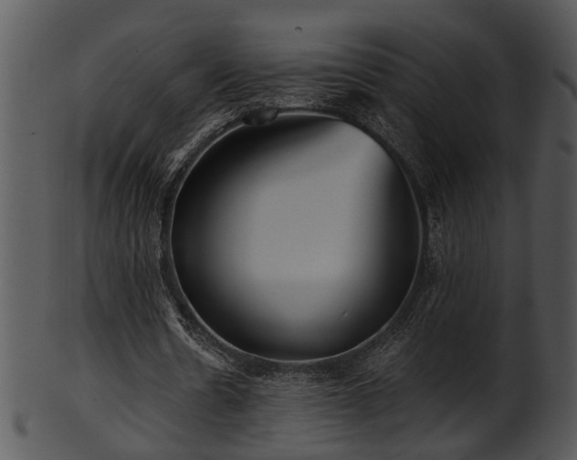 X0000101410530200807141133