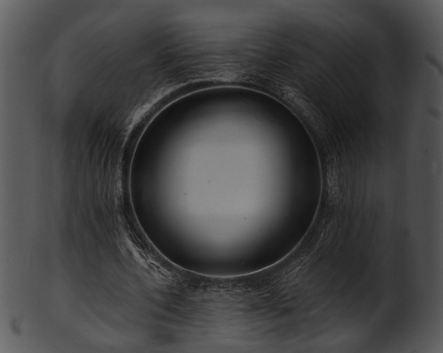 X0000101410532200807141133