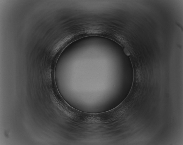 X0000101410535200807141133