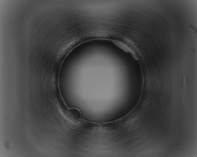 X0000101410538200807141133