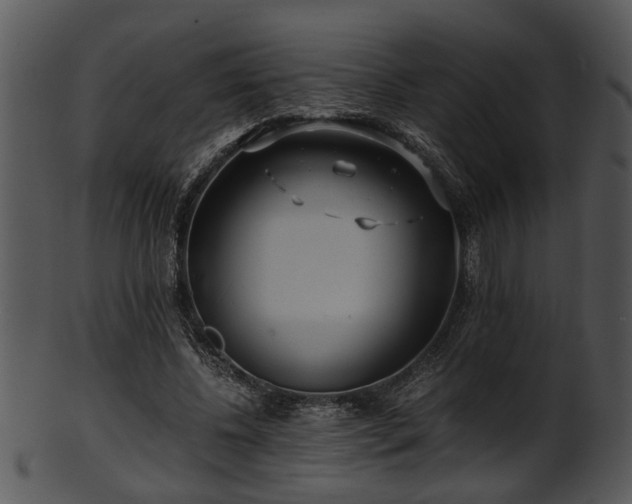X0000101410540200807141133