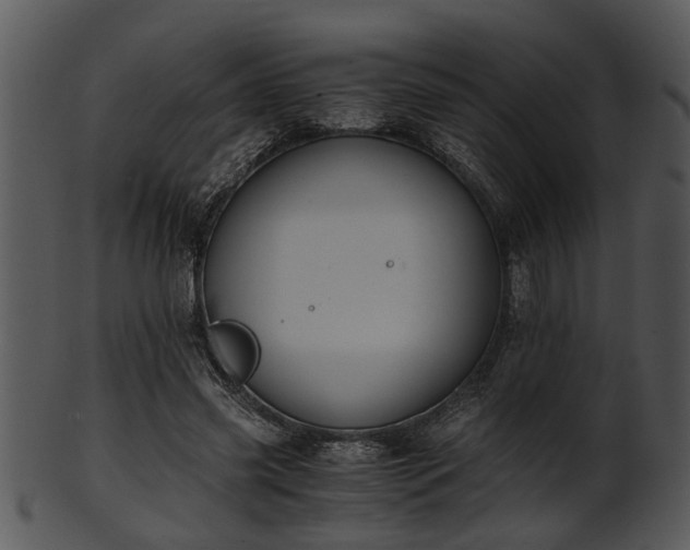 X0000101410541200807141133