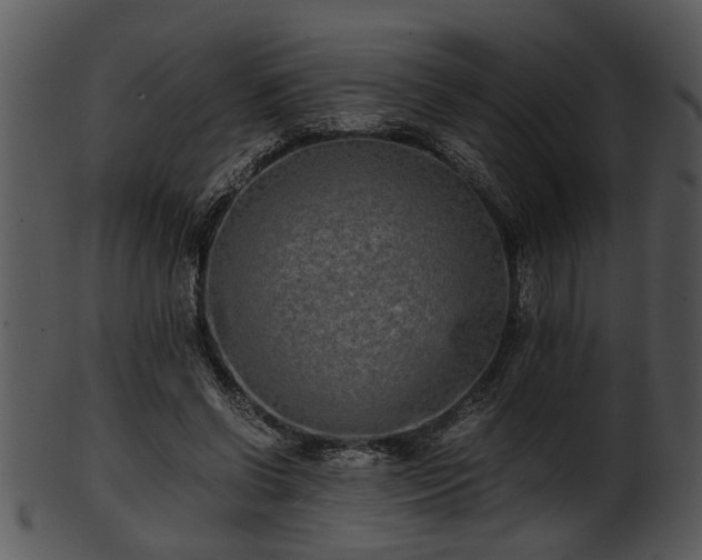 X0000101410542200807141133