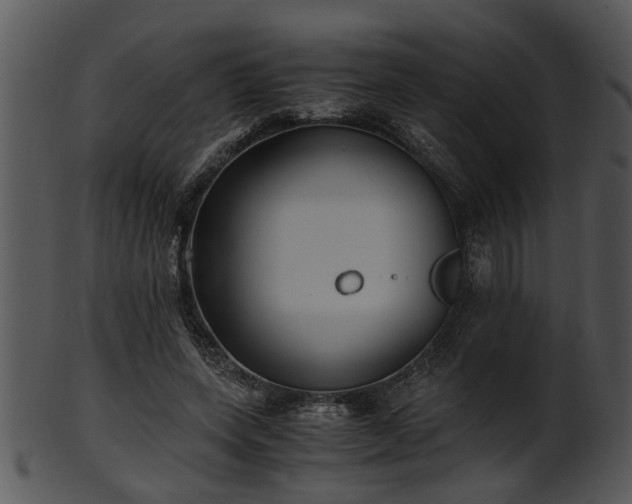 X0000101410543200807141133