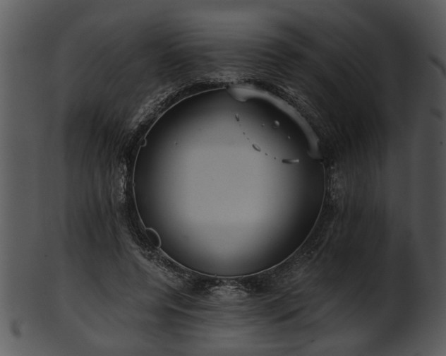 X0000101410544200807141133
