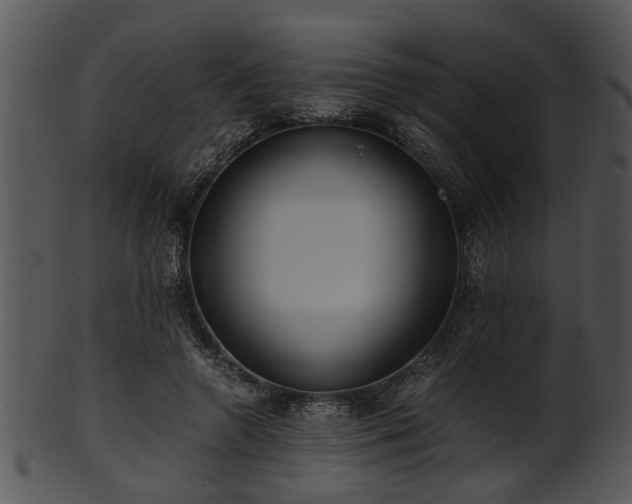 X0000101410546200807141133