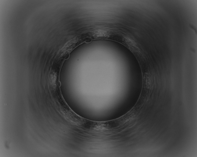 X0000101410550200807141134