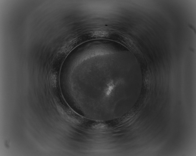 X0000101410551200807141134