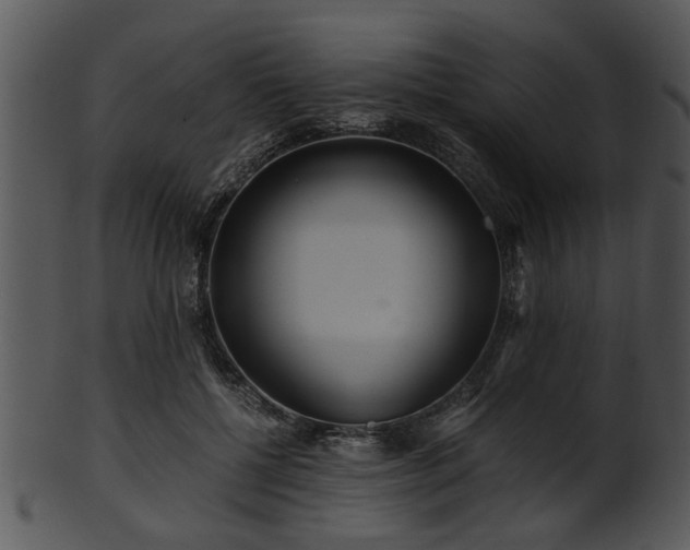 X0000101410552200807141134