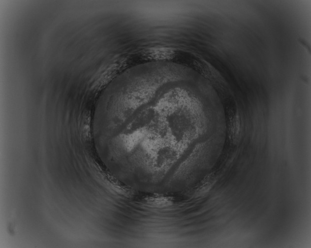 X0000101410553200807141134