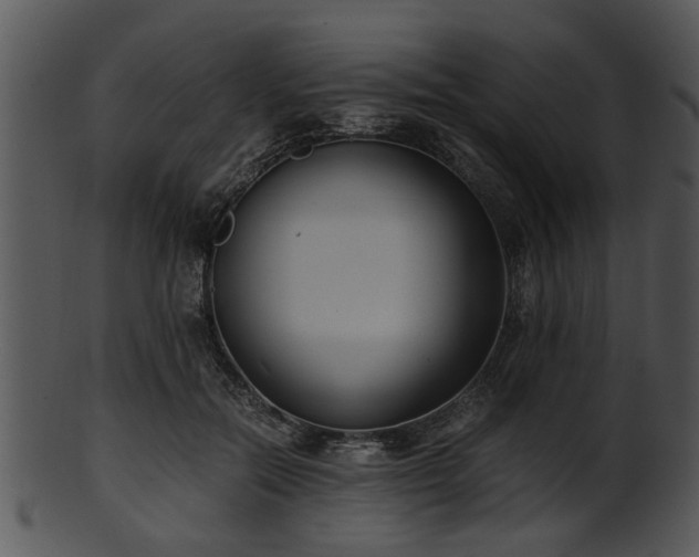 X0000101410554200807141134