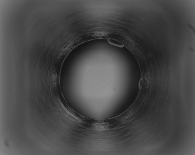 X0000101410556200807141134