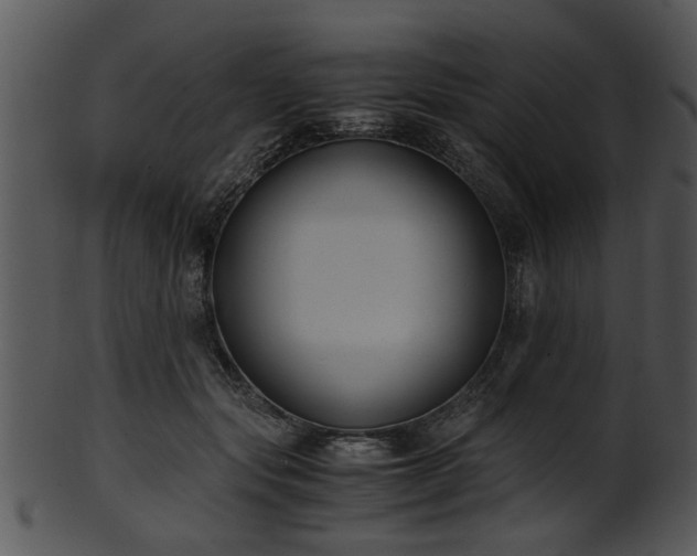 X0000101410557200807141134