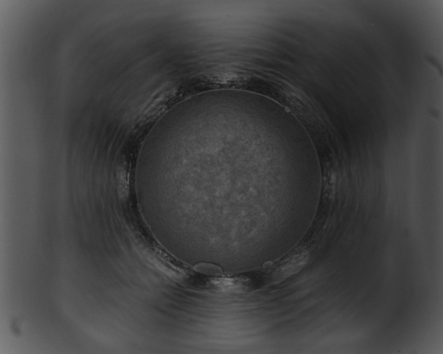 X0000101410558200807141134