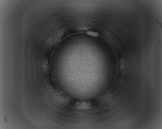 X0000101410559200807141134