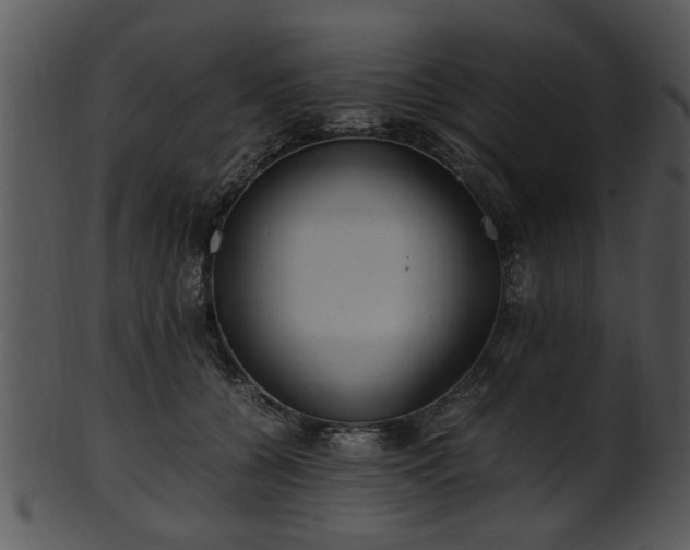 X0000101410560200807141134