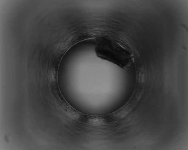 X0000101410561200807141134