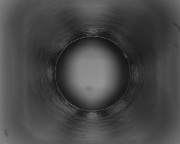 X0000101410562200807141134