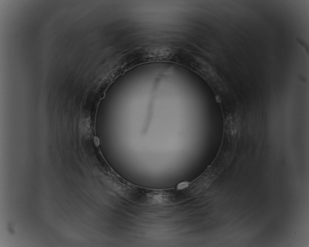 X0000101410564200807141134