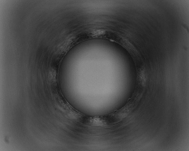 X0000101410565200807141134