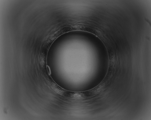 X0000101410566200807141134