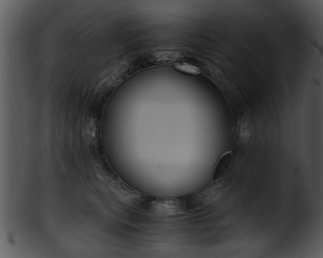 X0000101410567200807141134