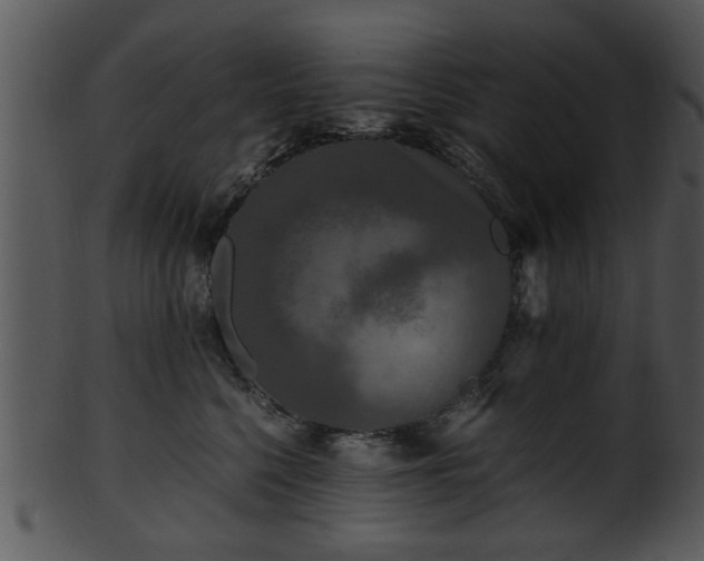 X0000101410568200807141134