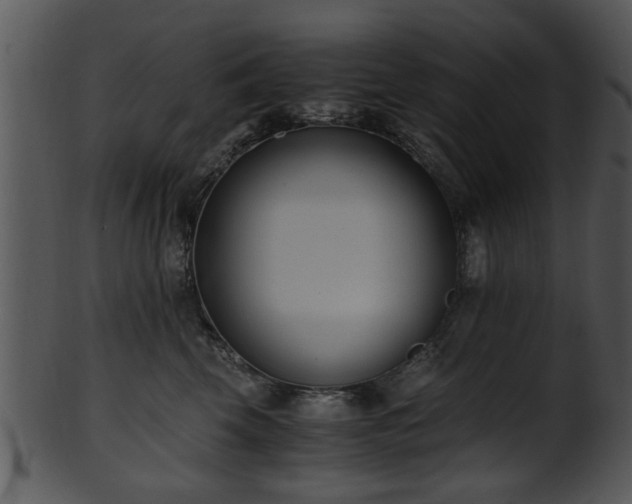 X0000101410569200807141134