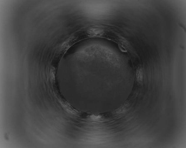 X0000101410570200807141134