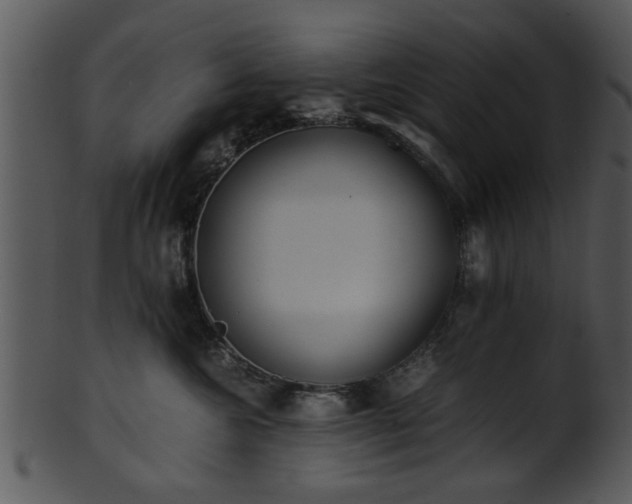 X0000101410572200807141134