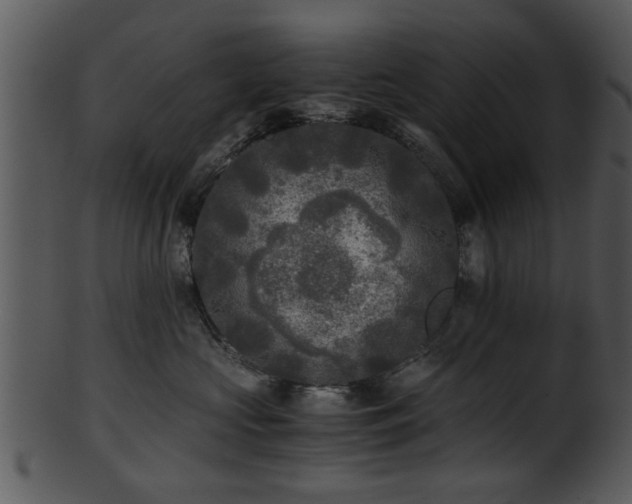 X0000101410573200807141134