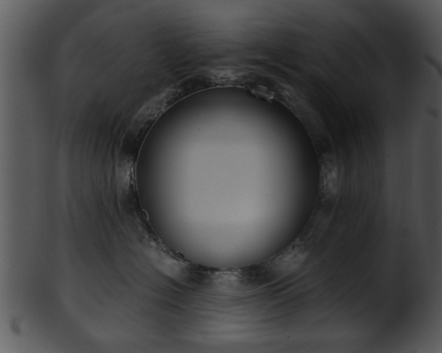 X0000101410574200807141134