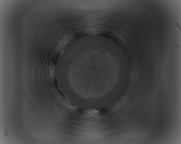 X0000101410576200807141134