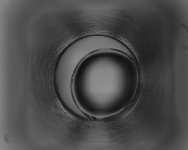 X0000101410577200807141133