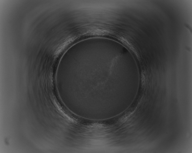 X0000101410581200807141133