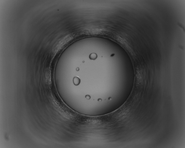 X0000101410582200807141133
