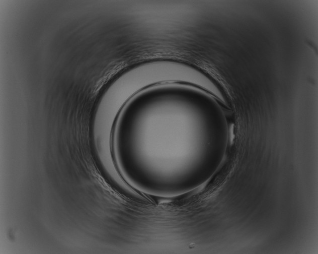 X0000101410585200807141133