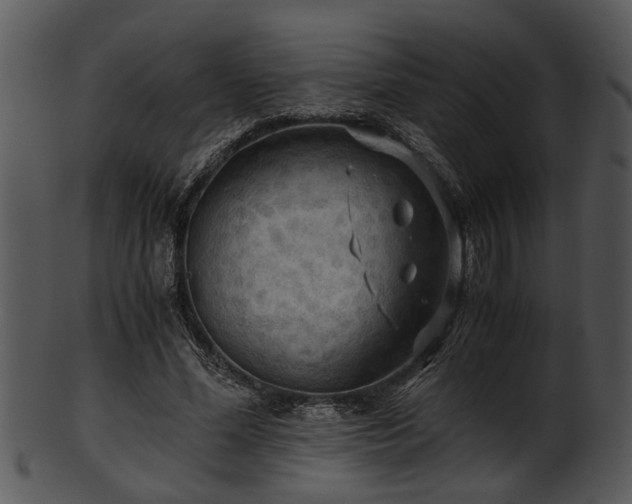 X0000101410588200807141133