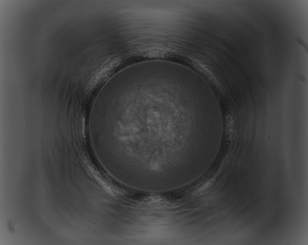 X0000101410589200807141133