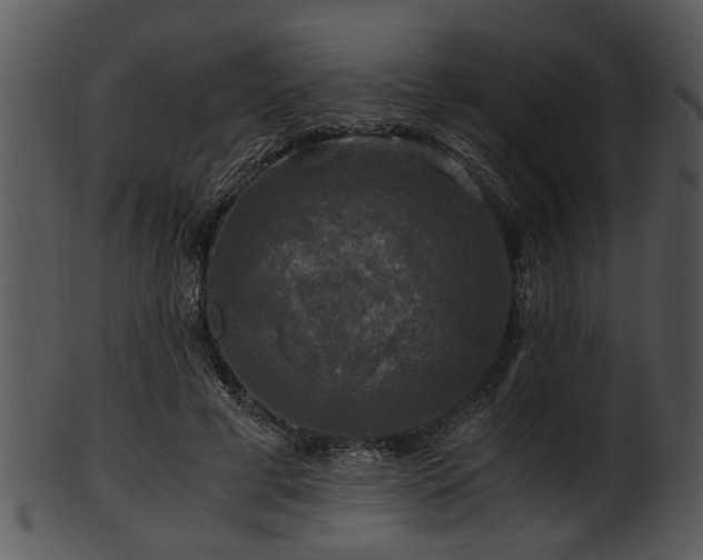 X0000101410593200807141133